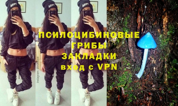 метадон Новодвинск