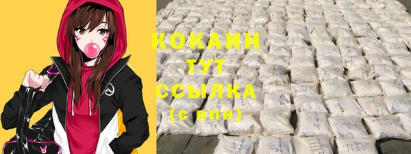 метадон Новодвинск