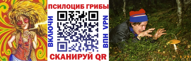Псилоцибиновые грибы мухоморы  сколько стоит  OMG сайт  Агрыз 